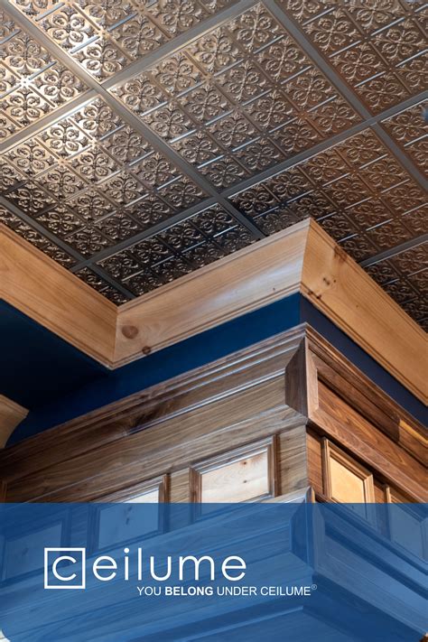 Ceilume Ceiling Tiles And Ceiling Panels In 2021 Ceiling Tiles