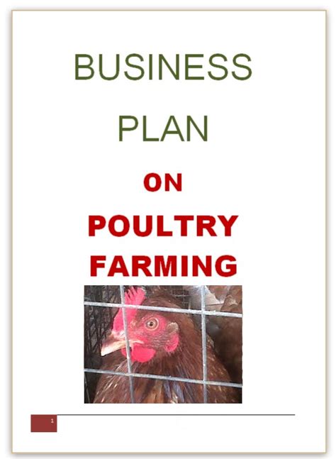 How To Write A Poultry Farm Business Plan Practical Business Ideas