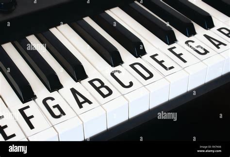 Las Teclas En El Teclado Del Piano Con Letras De Notas De La Escala