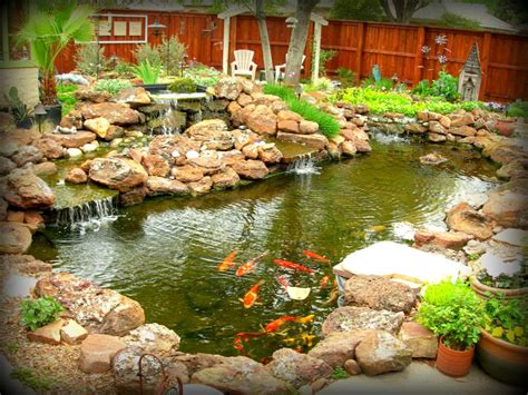 Koi Water Gardens Koi Pond And Waterfall Koifishonline