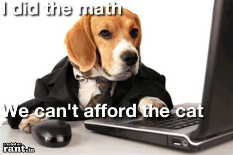 I Did The Math We Cant Afford The Cat We Cant Afford The Cat
