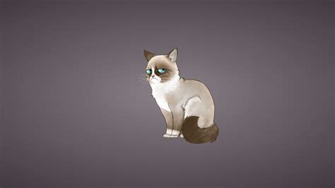 Grumpy Cat Meme Wallpaper Wallpapersafari
