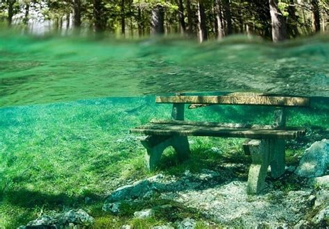 Kaindy lake hosts a living underwater forest which indeed must be considered as one of the world's greatest natural wonders and is a spectacular site. Underwater Park, Green Lake, Austria | Viagens, Natureza