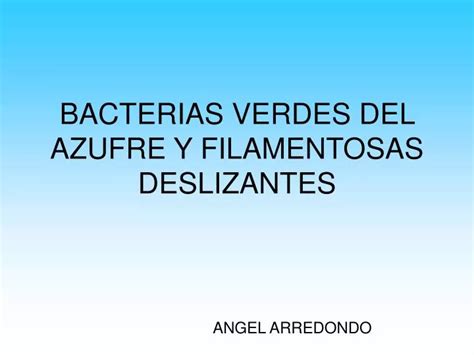 Ppt Bacterias Verdes Del Azufre Y Filamentosas Deslizantes Powerpoint