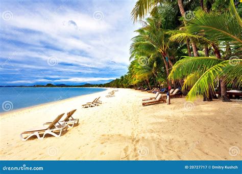 Exotic Tropical Beach Royalty Free Stock Photography Image 20727717