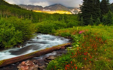 Beautiful Scenery And Mountainous River Flowers Green Trees Vegetation
