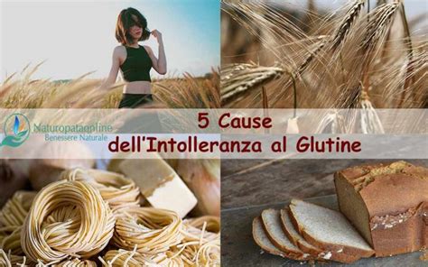 5 Cause Dellintolleranza Al Glutine Naturopataonline