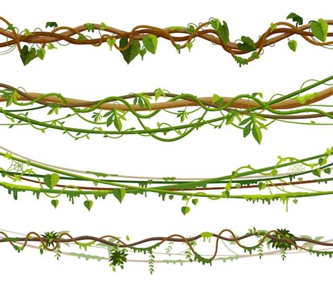 ジャングルのつる植物またはツイストつる植物のイラストのセット プレミアムベクター