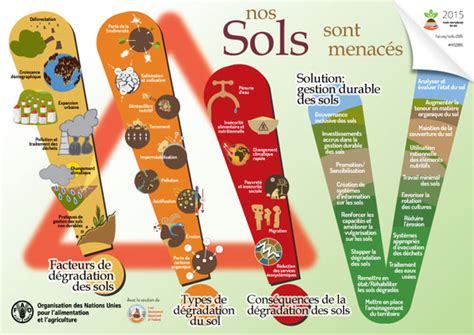 Les Sols En Infographie Agroecologie Phytomanagement Over Blog Com