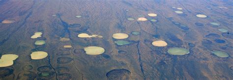 Permafrost Thaw And Methane Release From Arctic Lakes Iarc