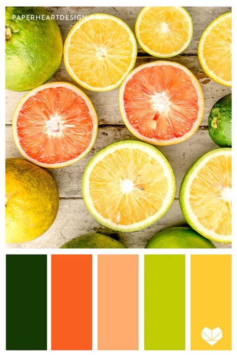 And Orange Can Be Bold In Shades Of Citrus Fruit In 2020 Orange