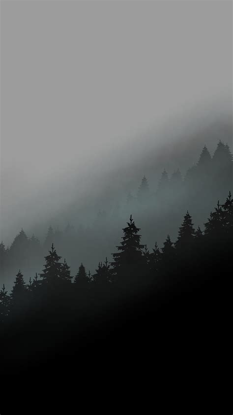 Black And White Forest Fog