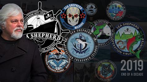 Sea Shepherd Conservation Society 2019 End Of Year Campaign Review