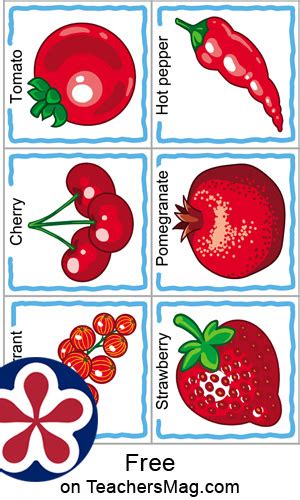 Printable Fruit And Vegetable Color Sorting Activity