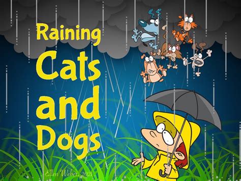 Math Raining Cats And Dogs Tinytap