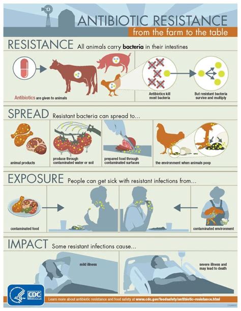 Infographic Cdc Antibiotic Resistance From The Farm To The Table