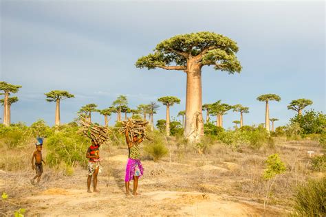 Madagascar In Brief Photography And Documentary