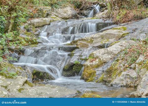 River Cascade On Forest In Mountain Stock Photo Image Of Green Color