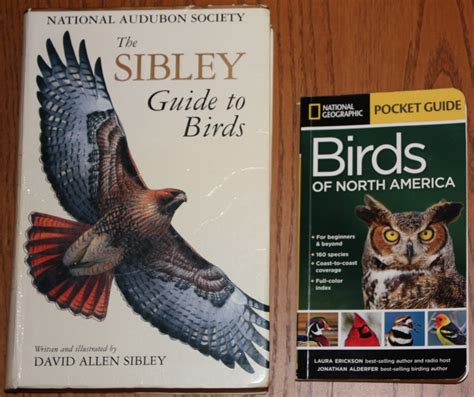 Review National Geographic Pocket Guide To The Birds Of North America