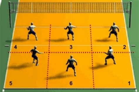 Posições de vôlei funções dos jogadores rotação no voleibol COMPETIZE