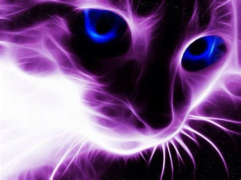 Cool Cat Purple Cat Cat Art Neon Cat
