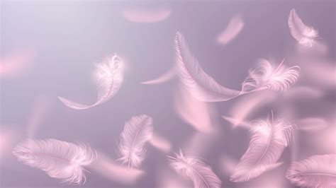 Premium Vector Background With Pink Feathers