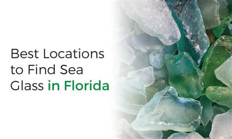 Where To Find Sea Glass In Florida Treasure Pursuits
