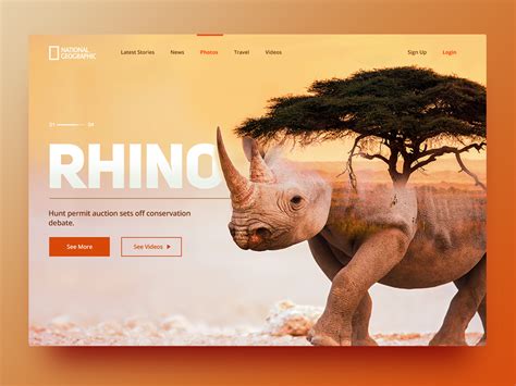 National Geographic Rhino Website 🦏 By Walt Orozco On Dribbble