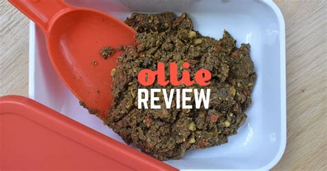 Learn about the history of ollie dog food recalls below. Ollie Dog Food Review 2020 Hands-On - Woof Whiskers