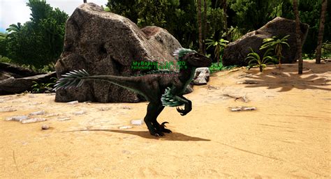 How To Tame Dinosaurs In Ark Scalacube