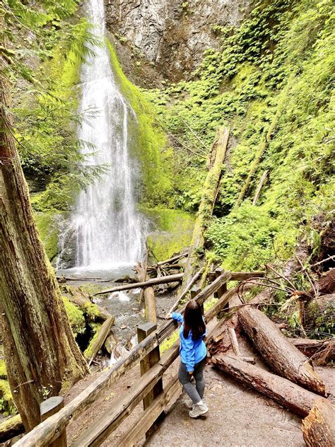 Marymere Falls Hike Olympic National Park 3 A Passion And A Passport