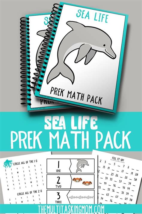 Sea Life Prek Math Pack The Multi Taskin Mom Prek Math Math
