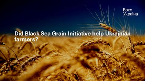 Did Black Sea Grain Initiative Help Ukrainian Farmers