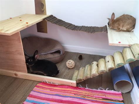 Our Indoor Rabbit Room Pet Bunny House Indoor Rabbit Pet Bunny