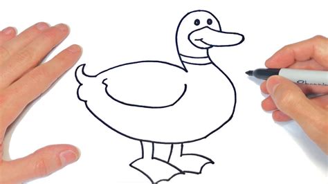 Cómo Dibujar Un Pato Paso A Paso Dibujo De Pato