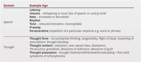 Mental State Examination 2 Speech And Thought Pathologia 2022