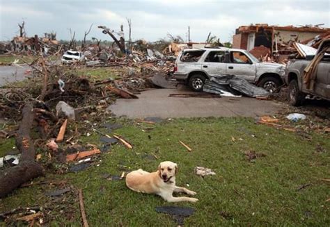Poor Dog Texas Storm Losing A Pet Pets