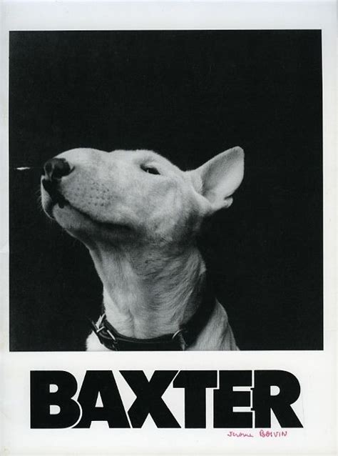 315 Baxter 1989 Dir Jérôme Boivin 22 In My 31 Unseen Horror Films