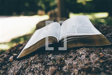 Open Bible On A Rock — Photo — Lightstock