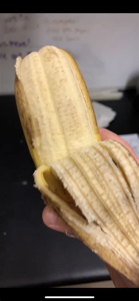 Conjoined Banana My Brothers Girlfriend Found At A Kwik Trip R