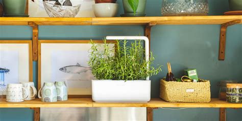 A wide variety of indoor herb kits options are available to you, such as plastic type, ceramic type, and plant fiber type. 10 Best Indoor Herb Garden Ideas for 2020 - Indoor Herb Kits