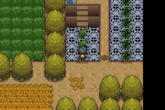 Pokemon Sovereign of the Skies Download, Informations & Media - Pokemon