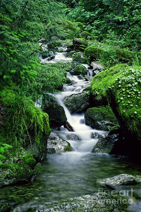 Cascade Mountain Stream Photograph By Earl Johnson Fine Art America