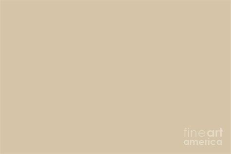 See more ideas about behr, behr paint, behr premium plus ultra. Light Beige - Soft Tan - Pastel Solid Color Parable to ...