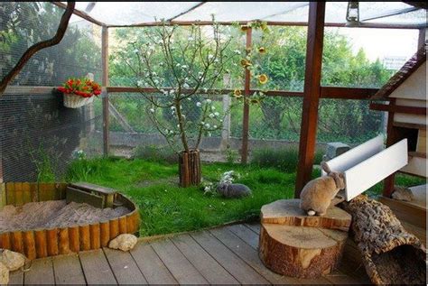 Bunny Backyard Rabbit Enclosure Rabbit Playground Rabbit Hutches
