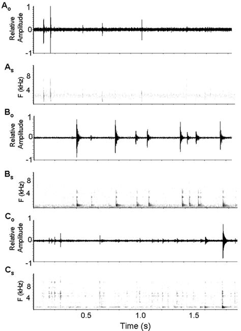 Oscillograms And Spectrograms Of Several Sound Impulses Produced By A
