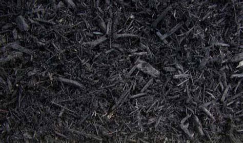 Dyed Black Bark Mulch Woehler Landscape Supply