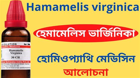 Hamamelis Virginica Homeopathic Medicine Explain Hamamelis Vir Q