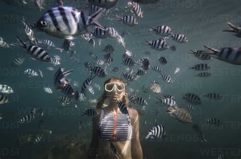 Woman Swimming By Fish Underwater Stock Photo
