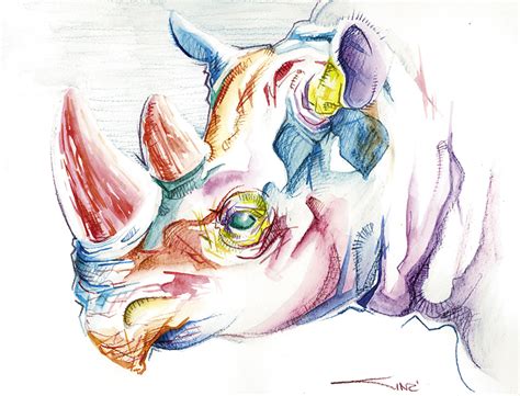 Colorful Rhino Head By Sinccolor On Deviantart